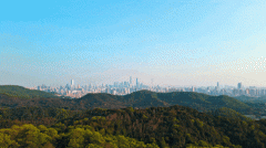 本公司未授权任何房产中介、第三方渠道或机构